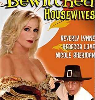 DVD Movie Bewitched Housewives